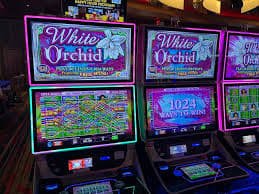 Live race odds and betting slip on starwin88 login Street Racing Game